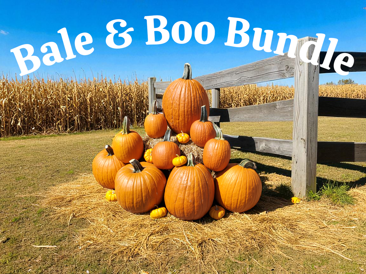 Bale & Boo Bundle
