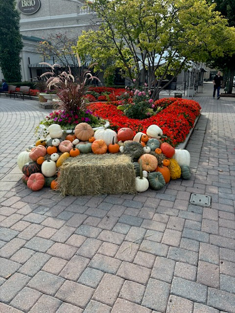 Fall Porch Pumpkin Arrangements