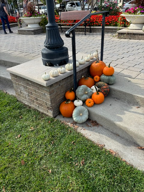 Fall Porch Pumpkin Arrangements