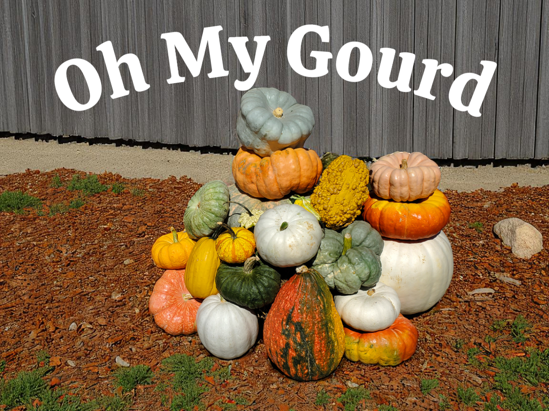 Oh, My Gourd!
