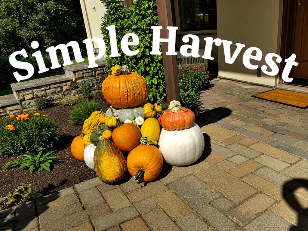 Fall Porch Pumpkin Arrangements